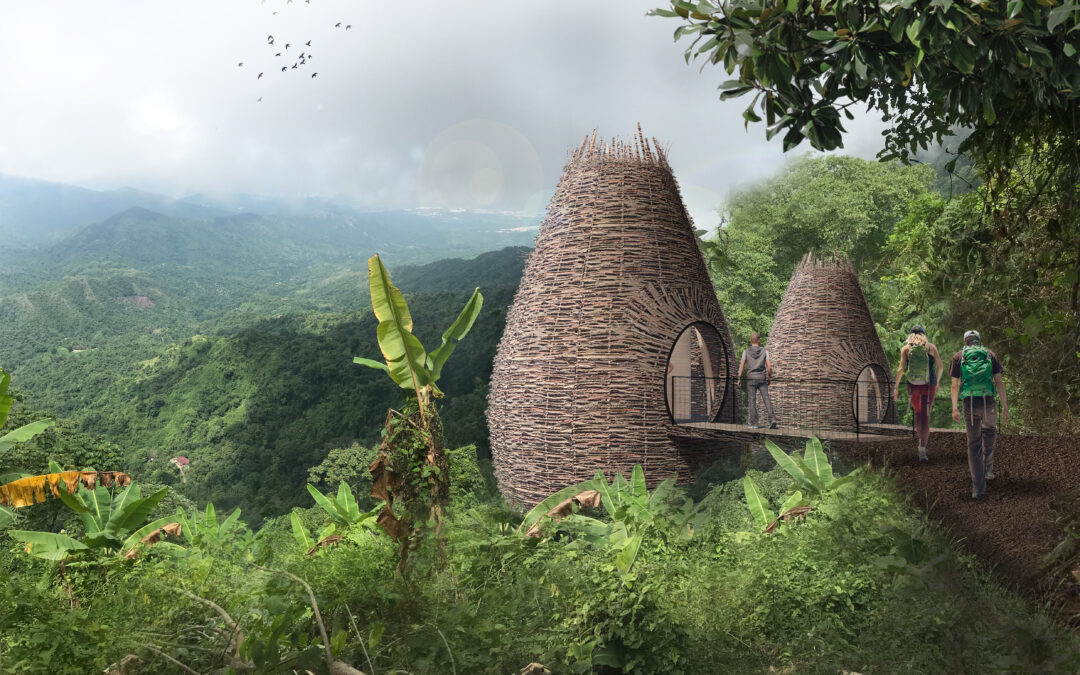 Les nids de Masaya – Colombie